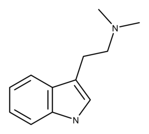 DMT molecular structure