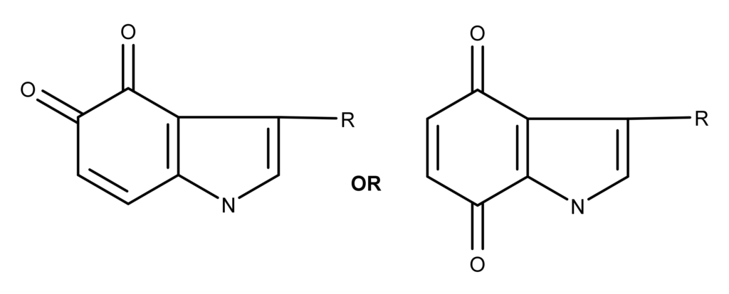 Possible structures of the molecule created from the psilocybin blueing reaction.