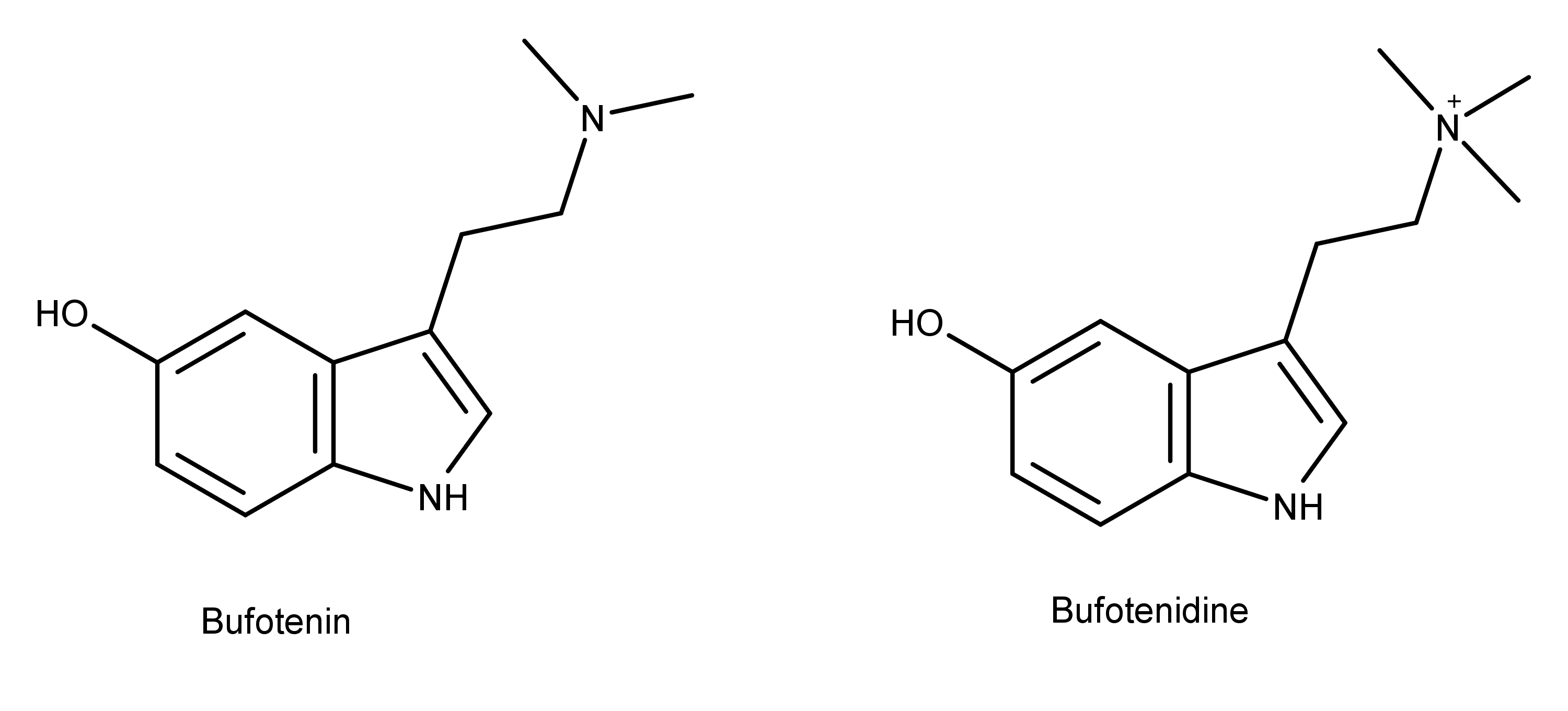 Structural Similarity to Bufotenin and Bufotenidine 