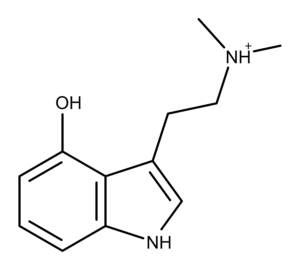 psilocin molecule
