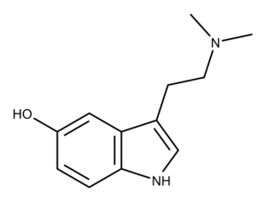 bufotenin chemical structure