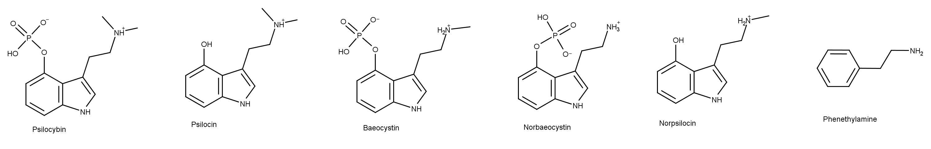 Chemical structures of compounds present in psychedelic psilocybin mushrooms.