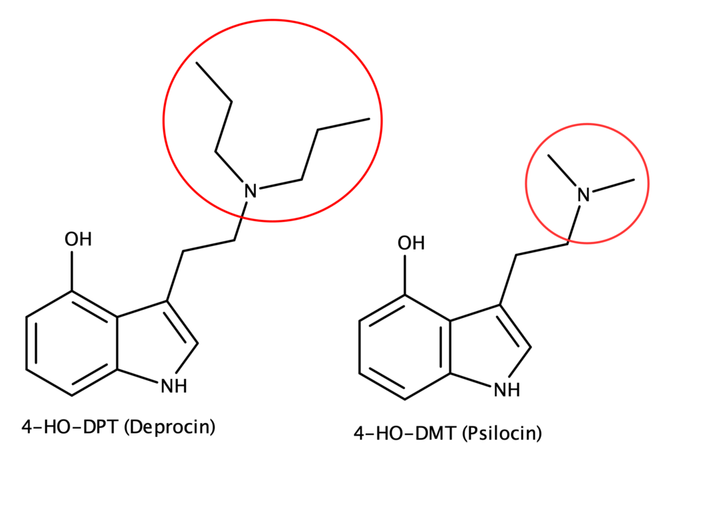 A comparison of the chemical structure of 4-HO-DPT to psilocin
