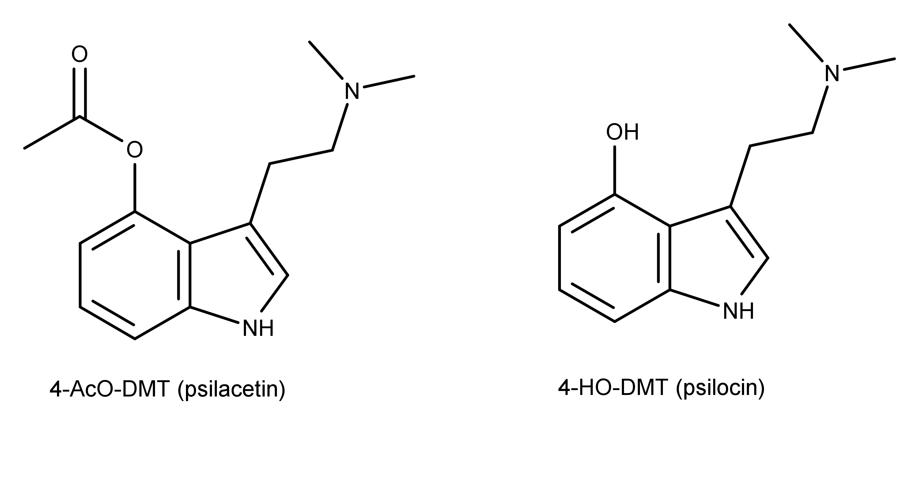 Chemical structures of psilacetin and psilocin.