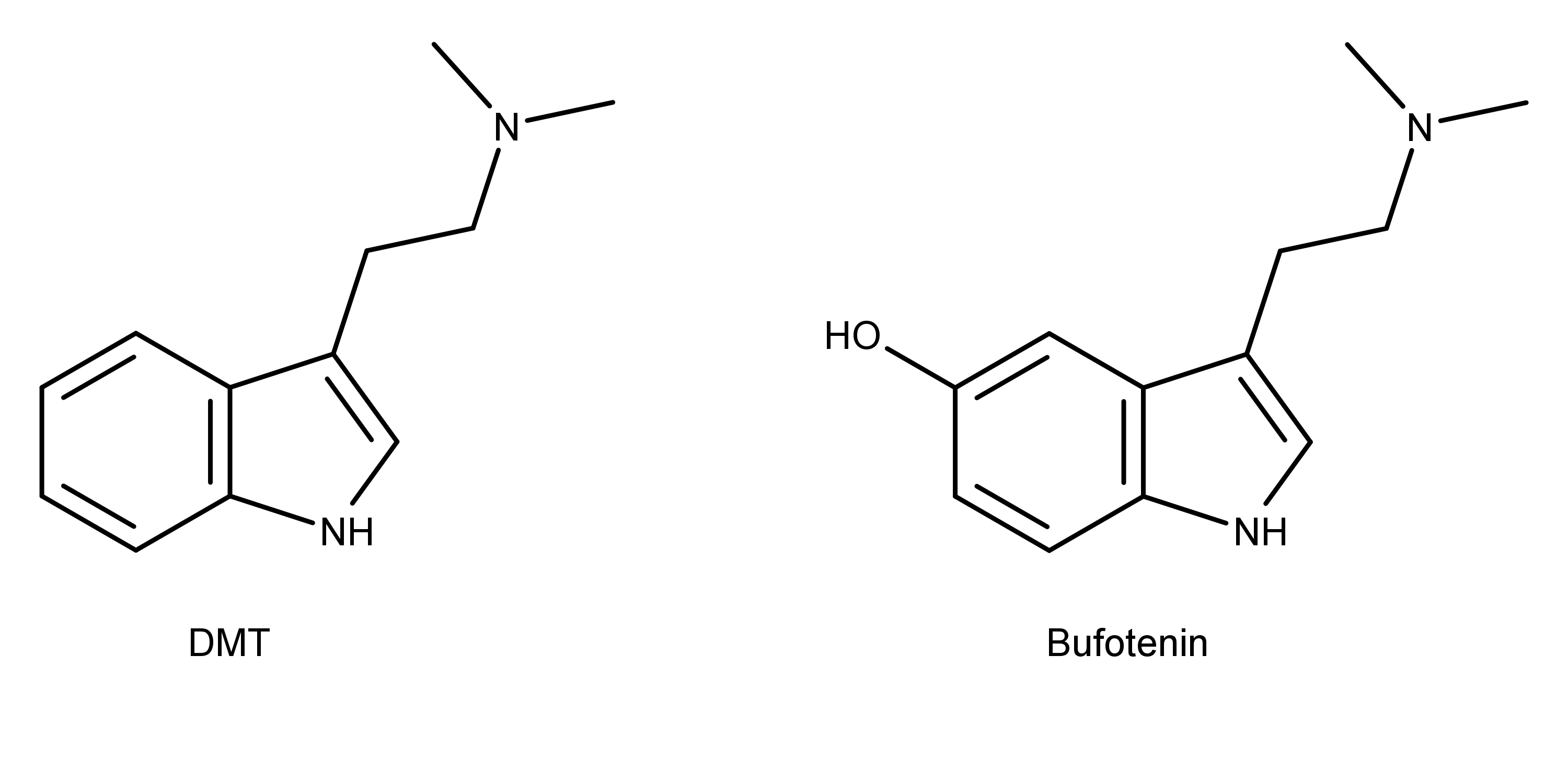 The chemical structures of DMT and bufotenin.