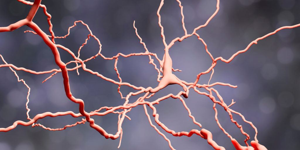 An orange model of a neuron on a gray background.