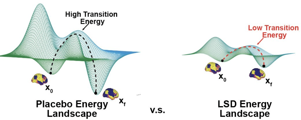 LSD flattens the brain's energy landscape.