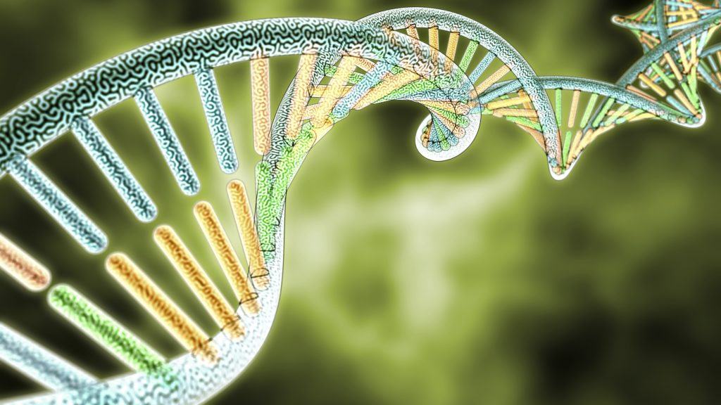 A green and yellow DNA double helix.