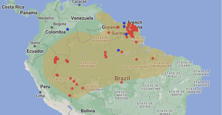 Map of South America with red dots indicating the location of the Phyllomedusa bicolor frog