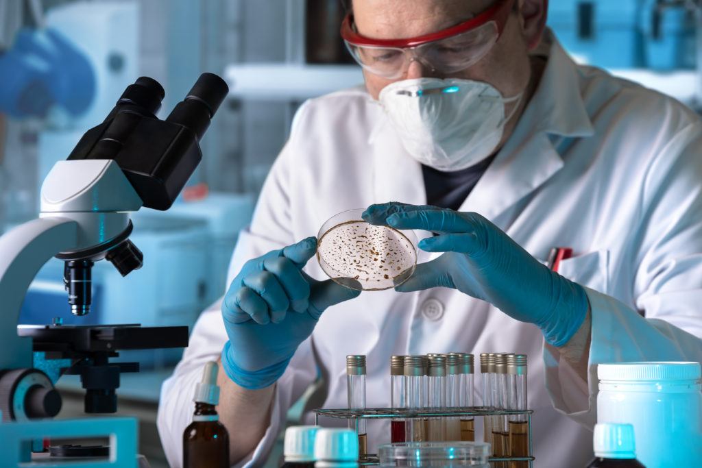 Microbiologist or laboratory technician working with petri dish for analysis in a microbiology laboratory