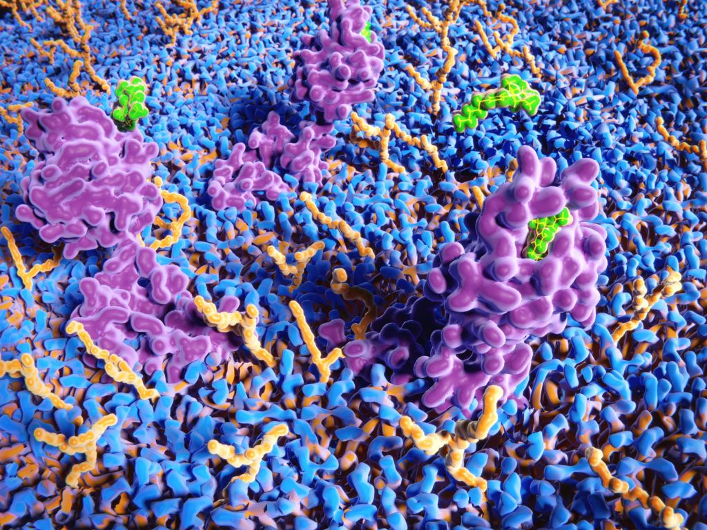 3D rendering of THC molecules binding to the cannabinoid receptor.