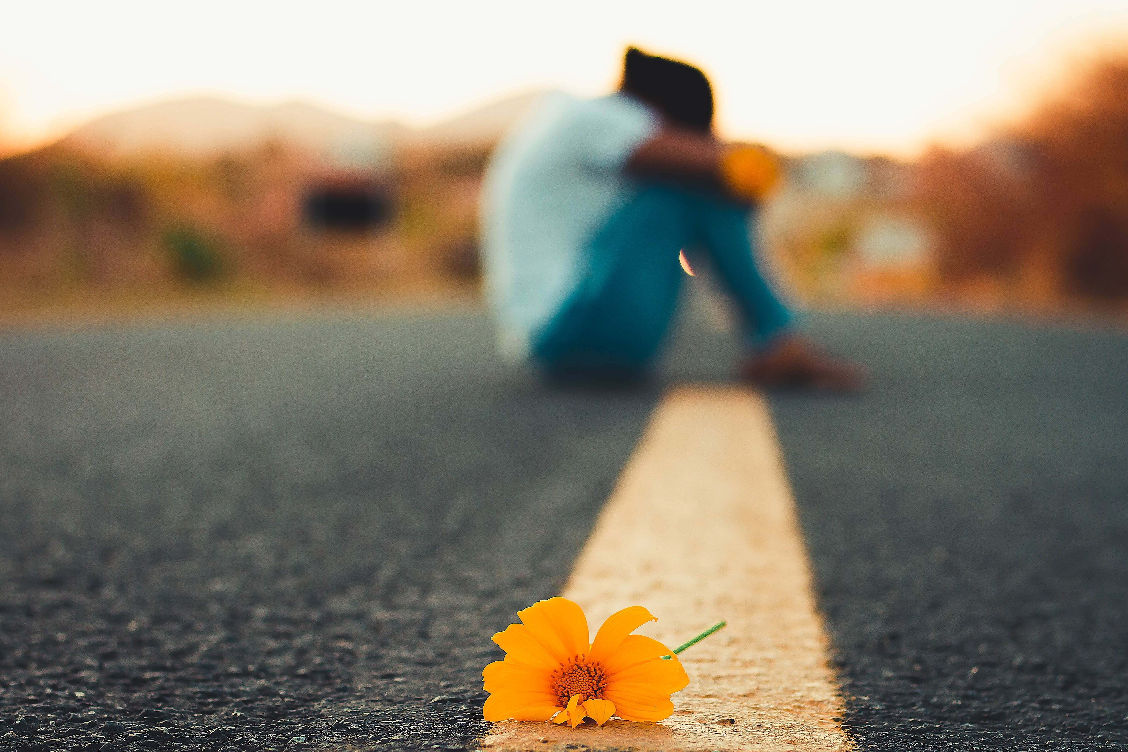 Yellow flower on top of solid yellow line (both representing suicide awareness month) on road with silhouette of person with head in their knees.